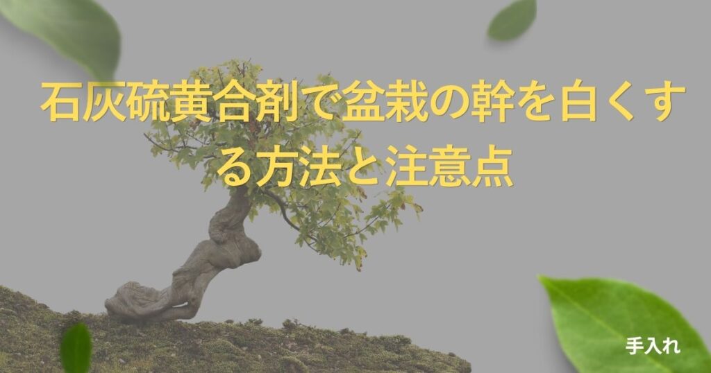 lime-sulfur-bonsai