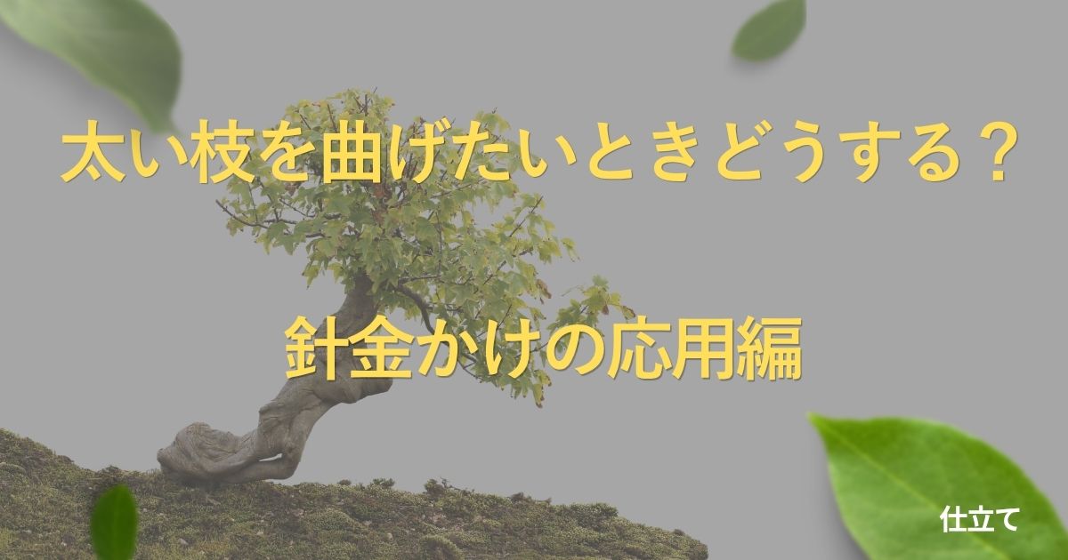 advanced-bonsai-bending