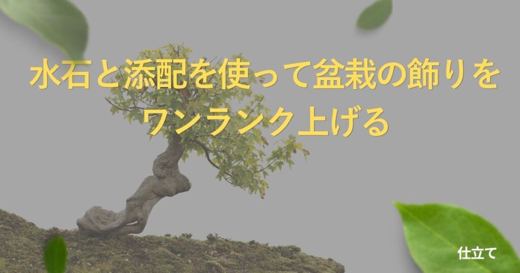 suiseki-display-guide