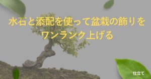 suiseki-display-guide