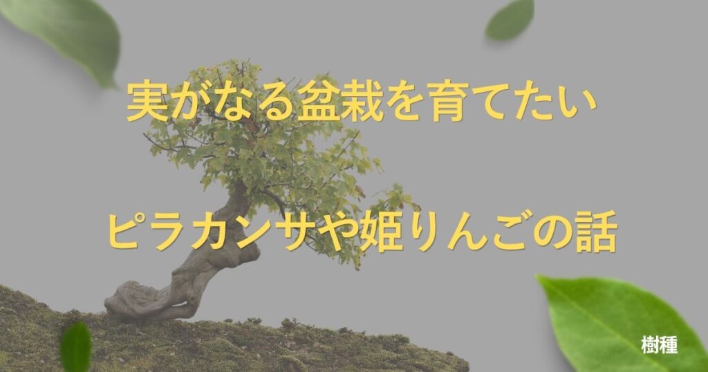 fruit-bonsai-guide