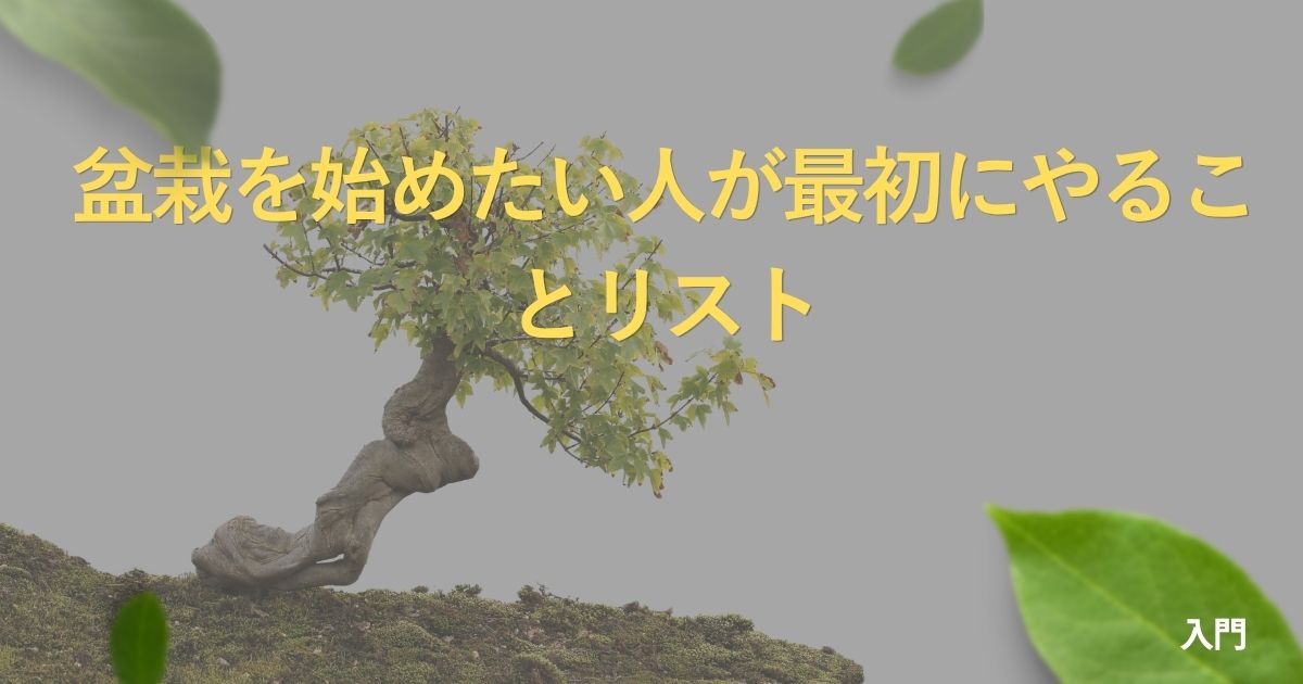 how-to-start-bonsai
