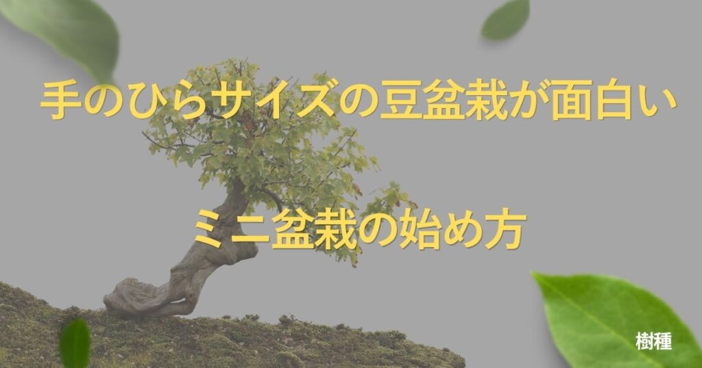 mini-bonsai-guide