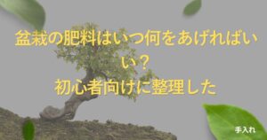 bonsai-fertilizer-guide