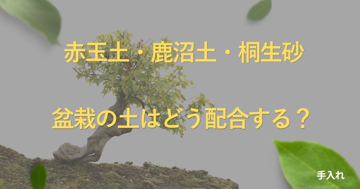 bonsai-soil-guide
