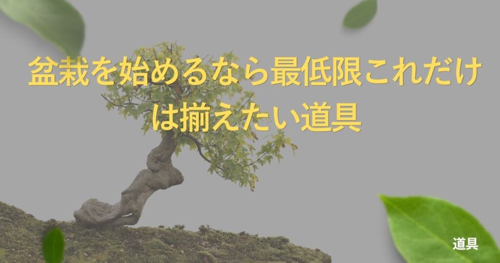 bonsai-tools-list