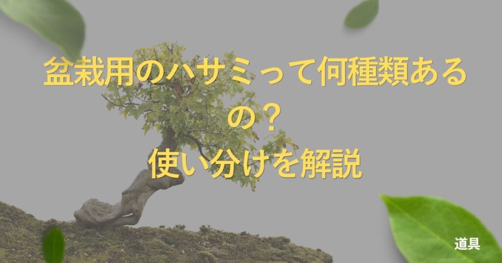 bonsai-scissors-guide