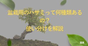 bonsai-scissors-guide
