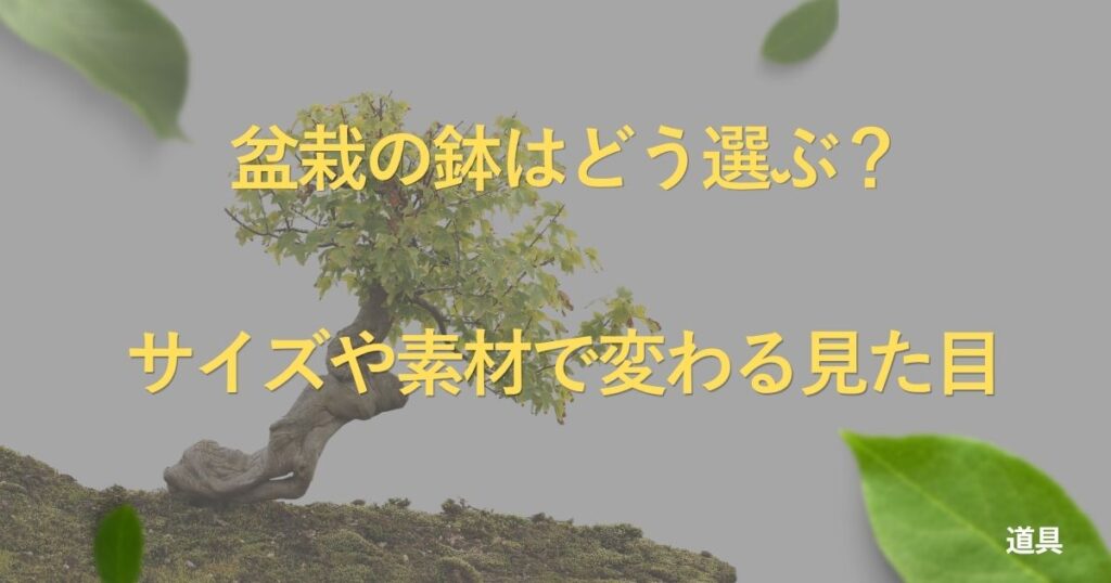 bonsai-pot-guide