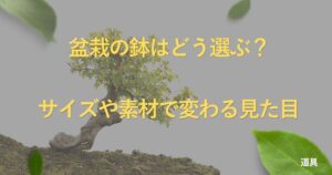 bonsai-pot-guide