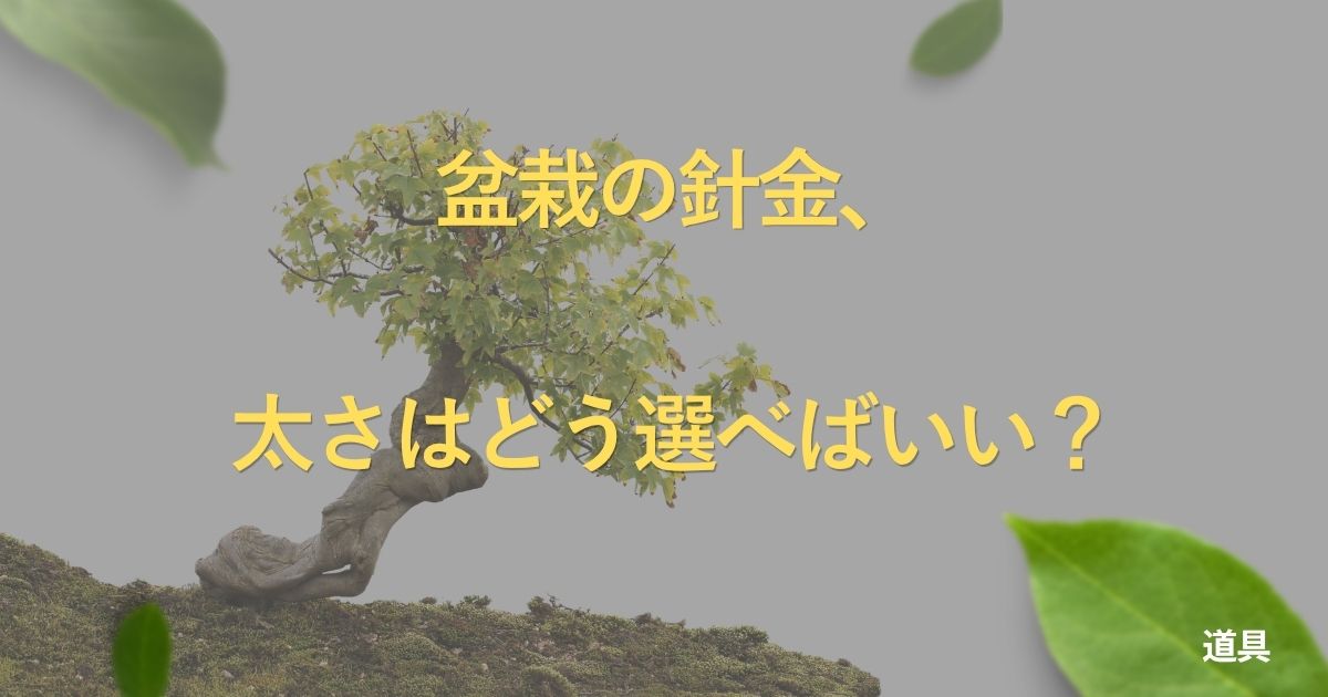 bonsai-wire-guide