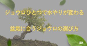 bonsai-watering-can