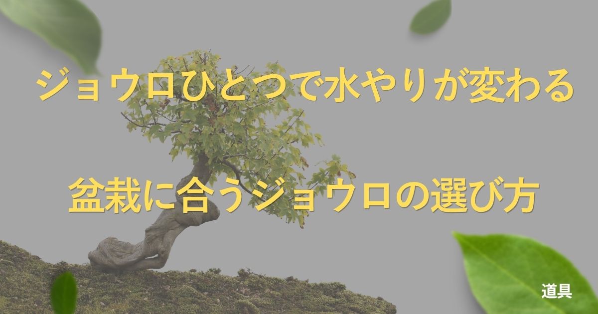 bonsai-watering-can