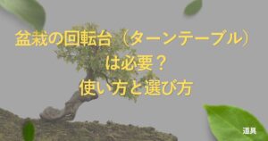 bonsai-turntable