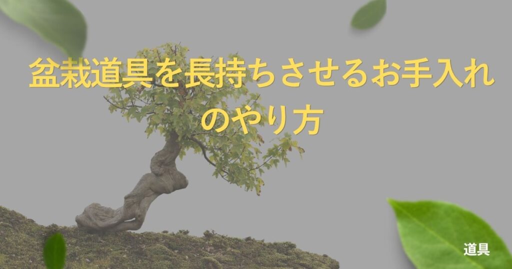 bonsai-tool-maintenance