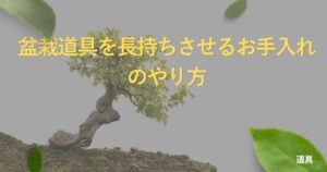 bonsai-tool-maintenance
