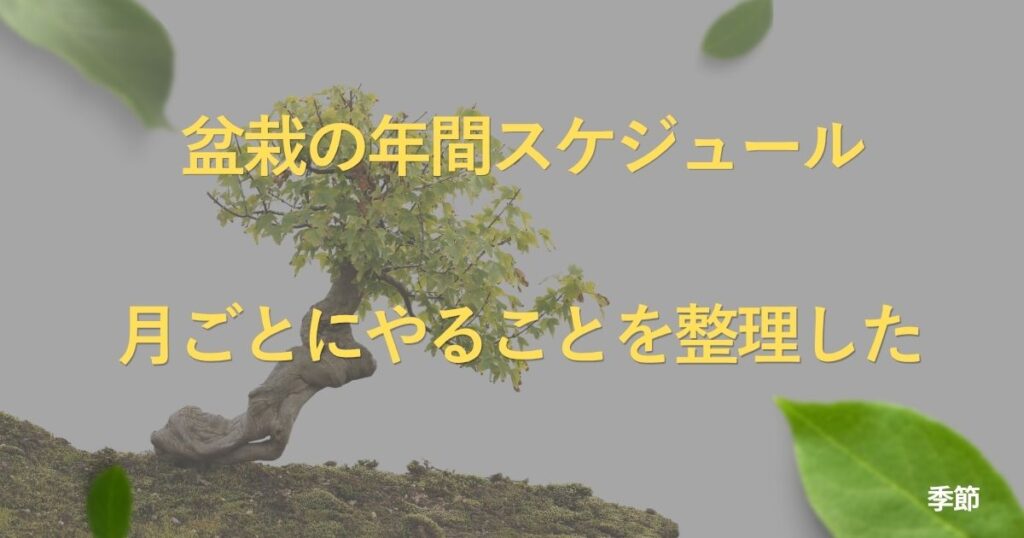 bonsai-annual-calendar