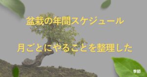bonsai-annual-calendar