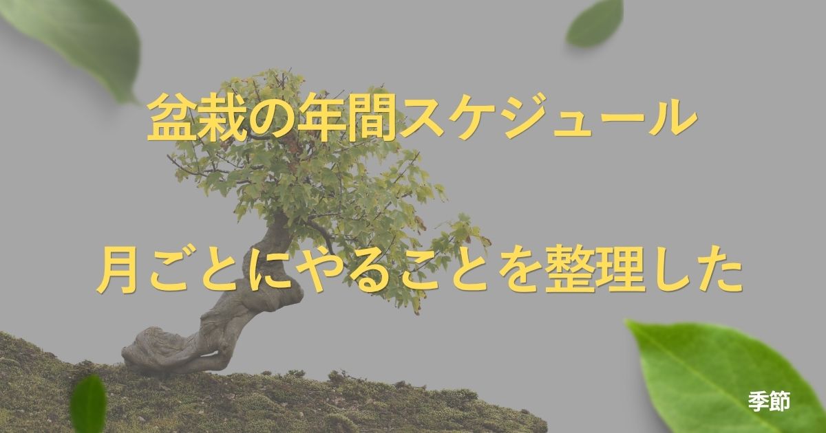 bonsai-annual-calendar