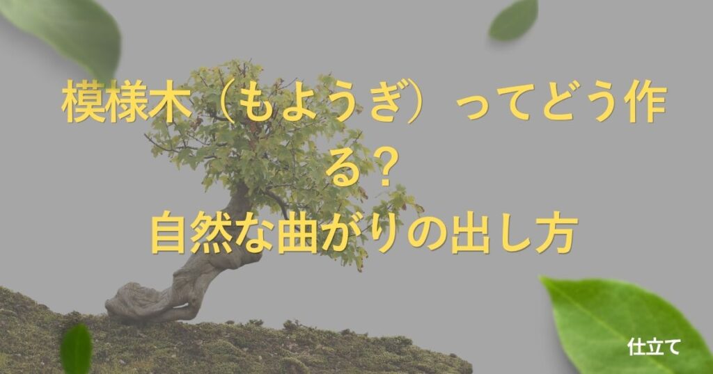 moyogi-style-guide