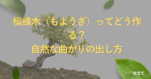 moyogi-style-guide
