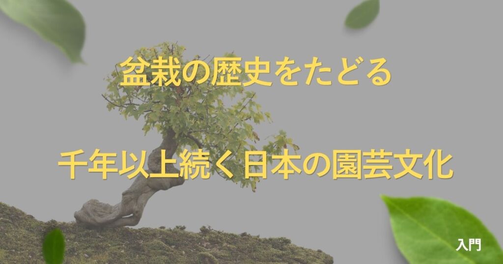 bonsai-history