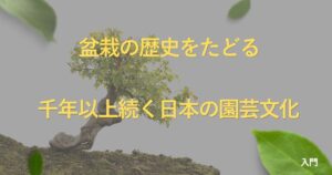 bonsai-history