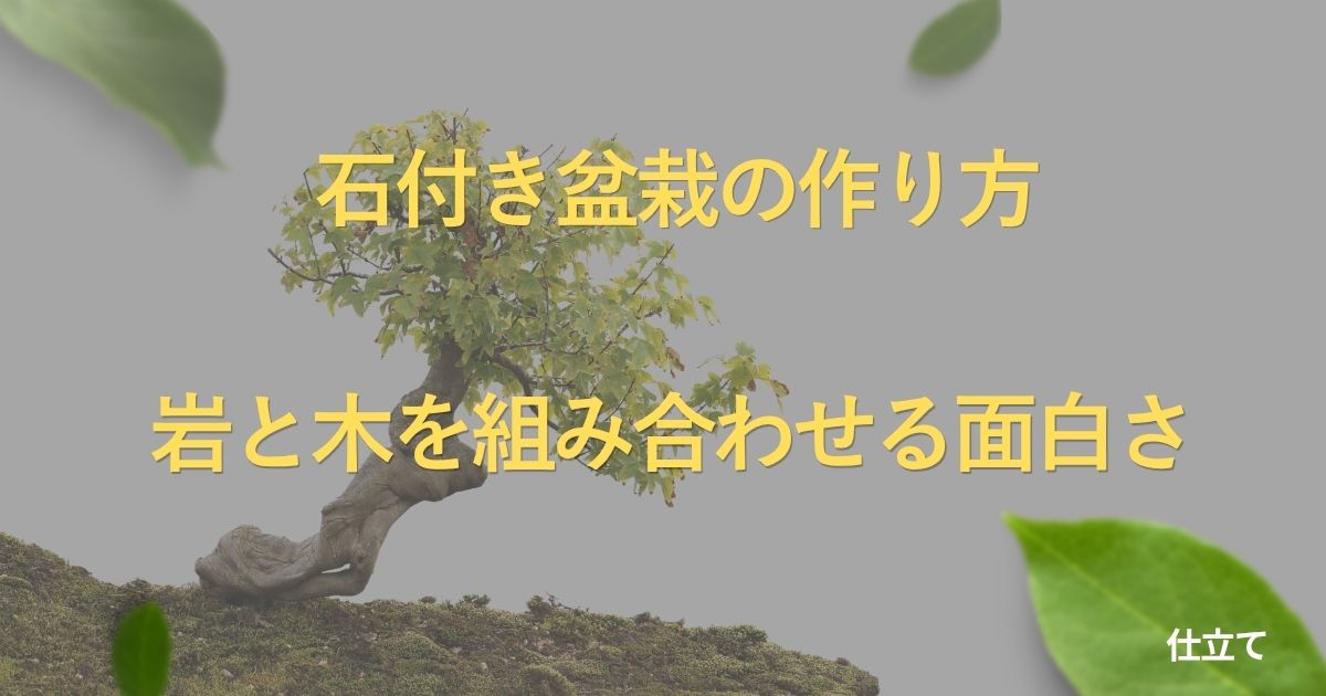 rock-planting-guide