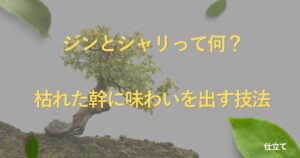jin-shari-technique