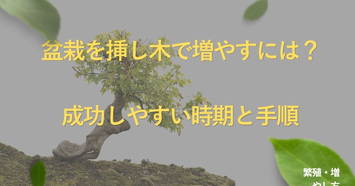 bonsai-cutting-guide