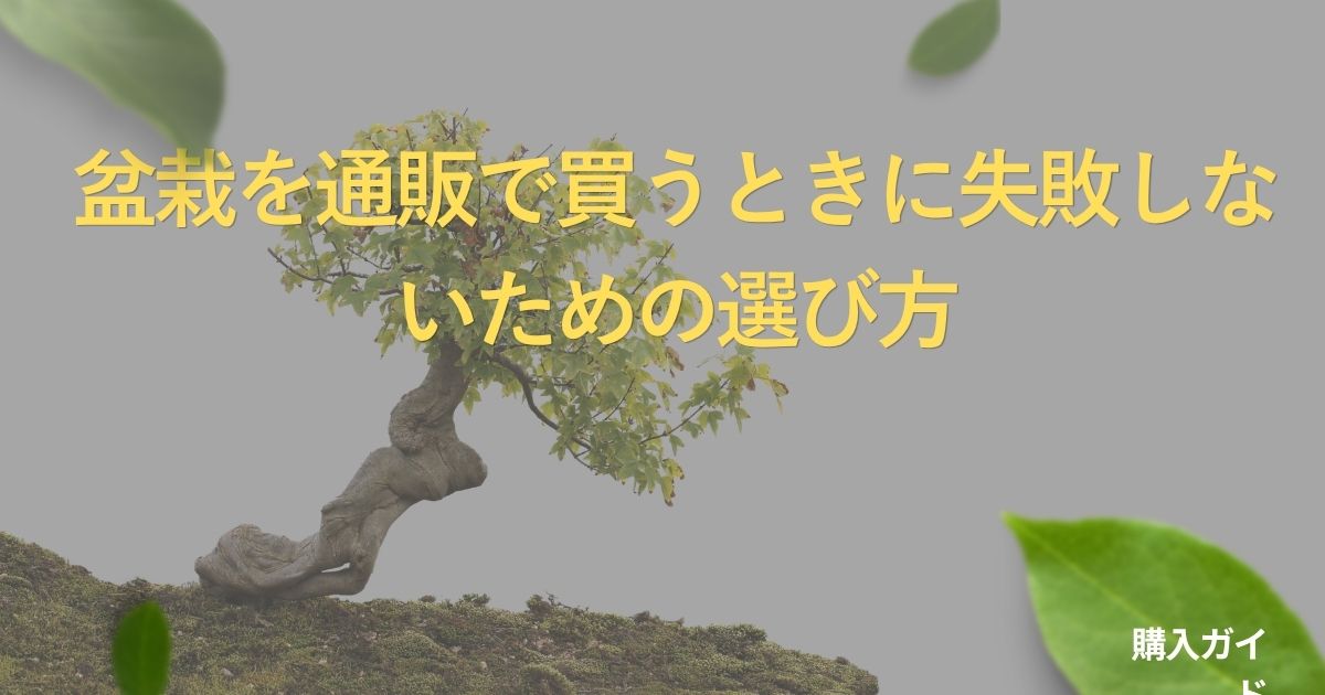 bonsai-online-shop