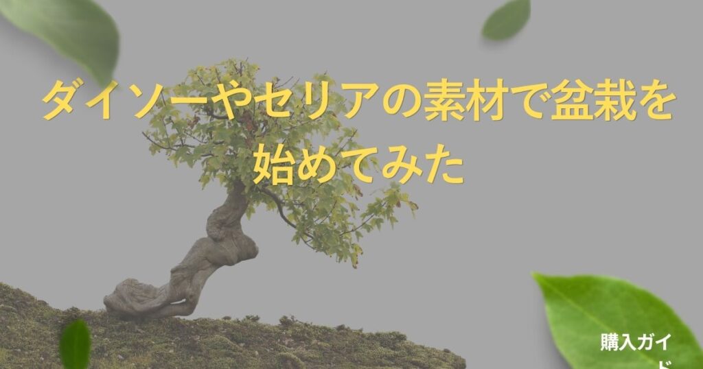 bonsai-100yen-guide
