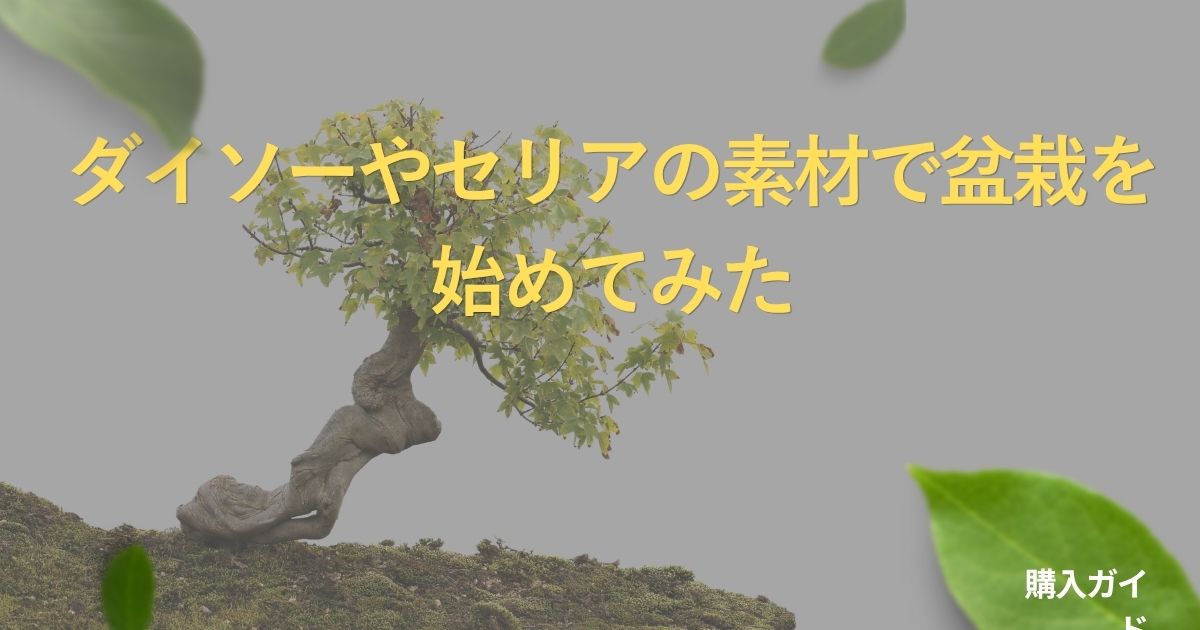 bonsai-100yen-guide