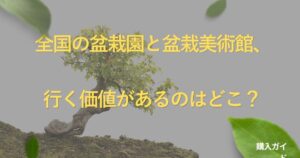 bonsai-museum-guide