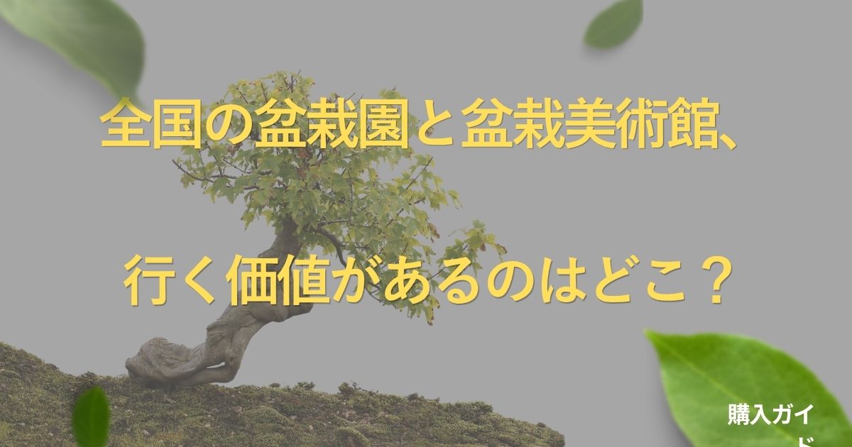 bonsai-museum-guide