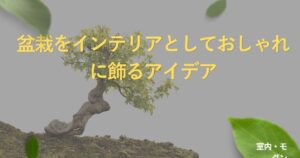 bonsai-interior-ideas