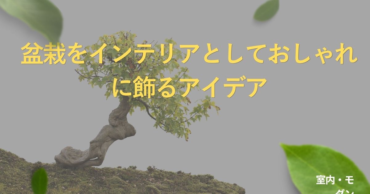 bonsai-interior-ideas