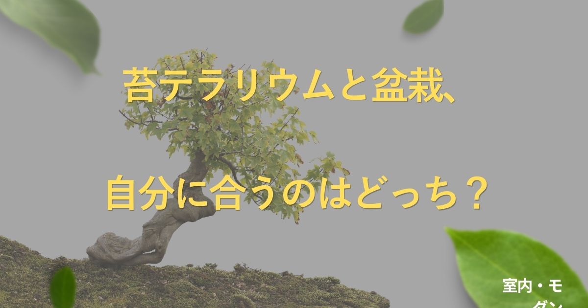 terrarium-vs-bonsai
