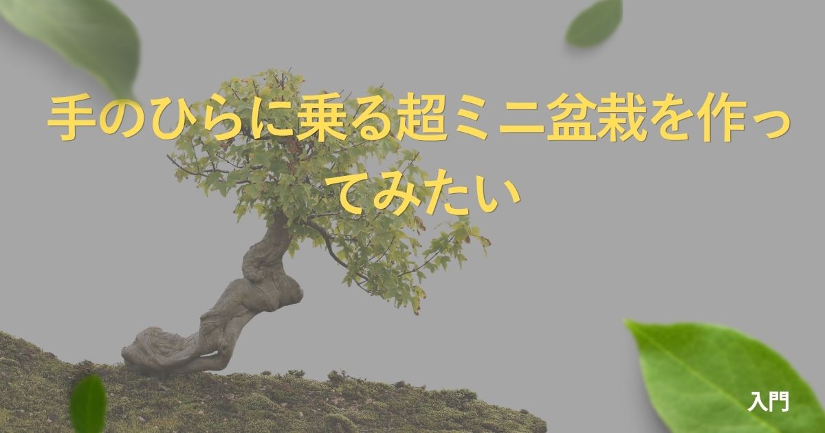 palm-size-bonsai