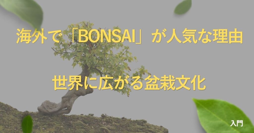 bonsai-worldwide